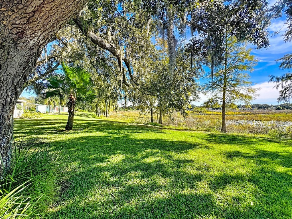 4712 Belle Grove Leesburg FL 34748 G5104394 image41