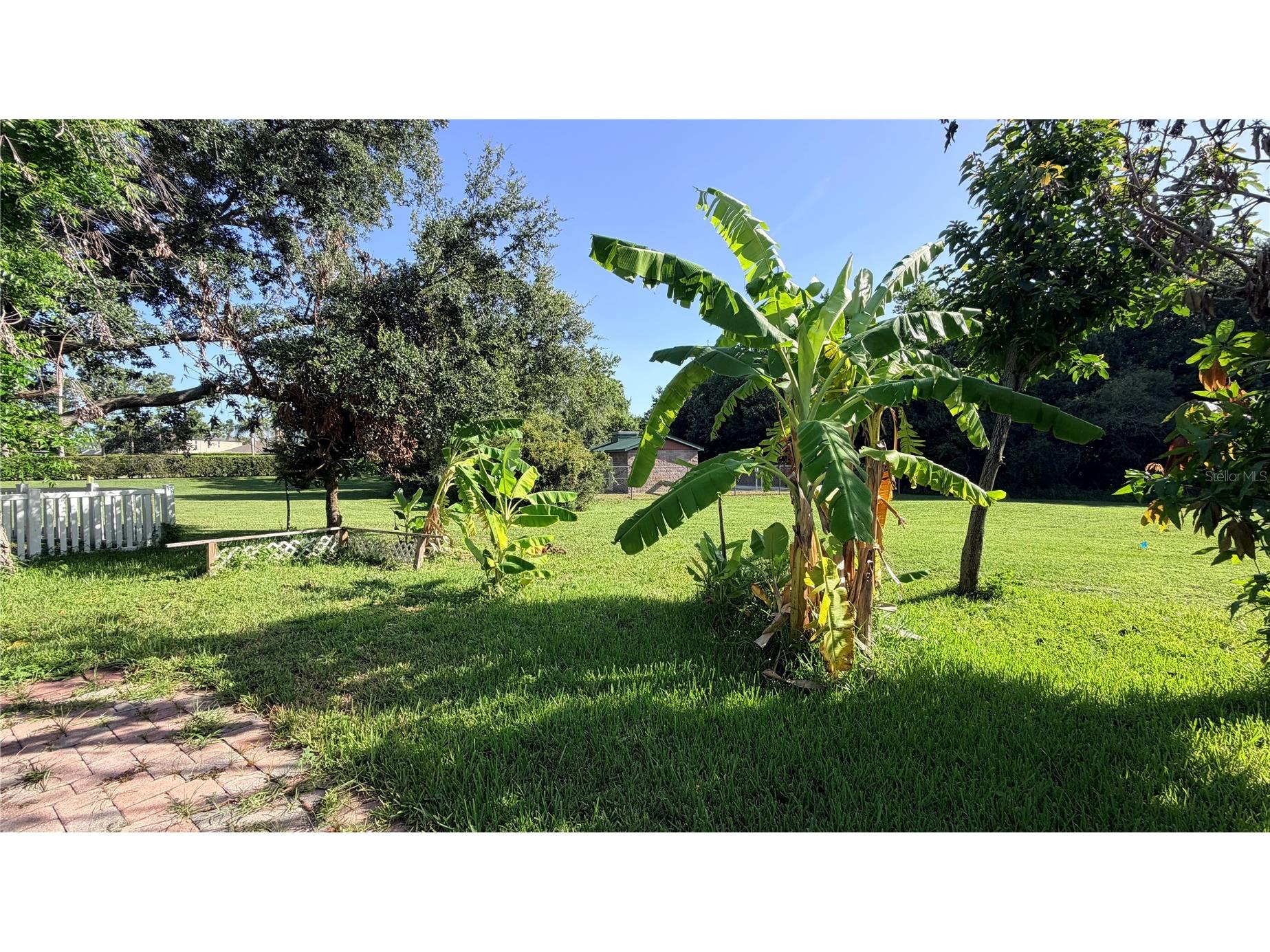 4712 Mapletree Loop Wesley Chapel FL 33544 TB8532734 image25