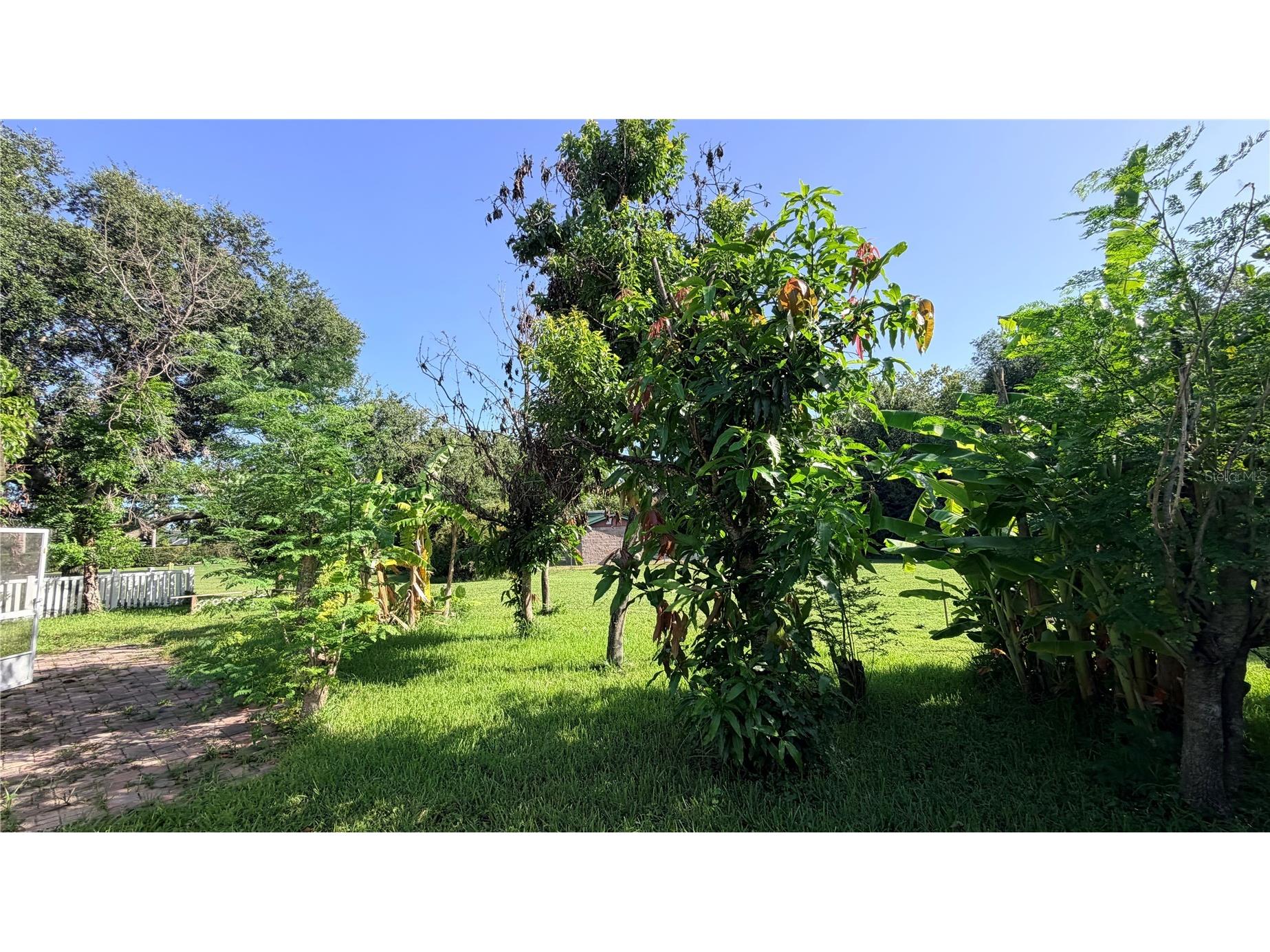 4712 Mapletree Loop Wesley Chapel FL 33544 TB8532734 image30