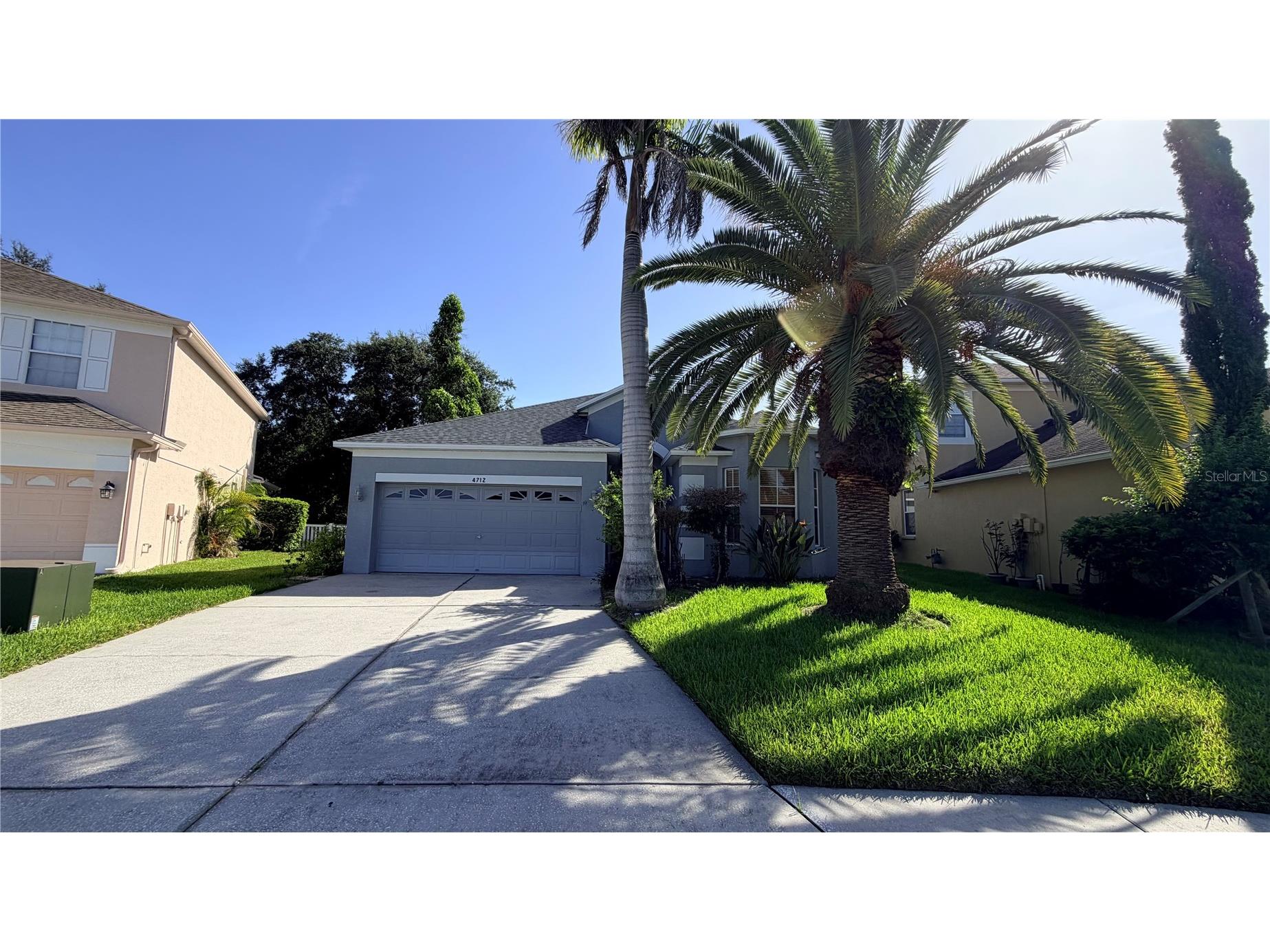 4712 Mapletree Loop Wesley Chapel FL 33544 TB8532734 image34