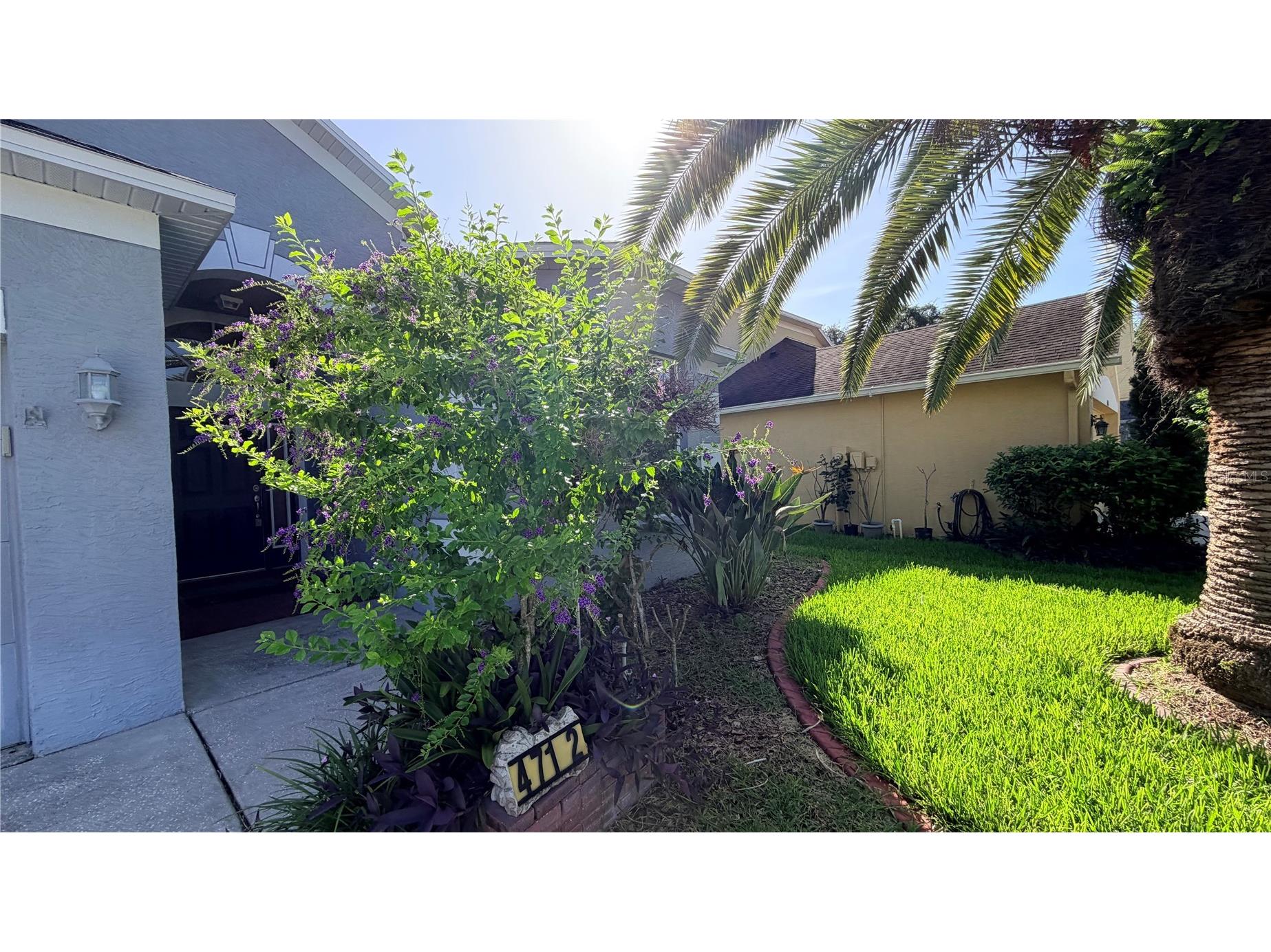 4712 Mapletree Loop Wesley Chapel FL 33544 TB8532734 image38
