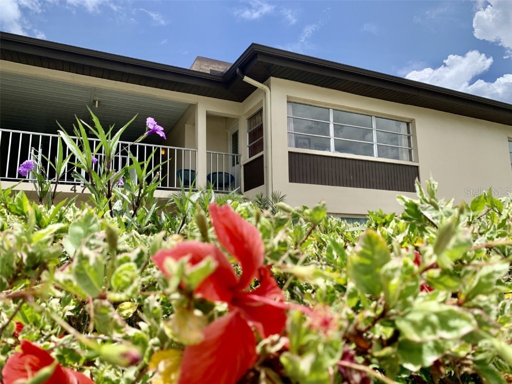 4712 Marine Parkway #203 New Port Richey FL 34652 TB8397714 image1