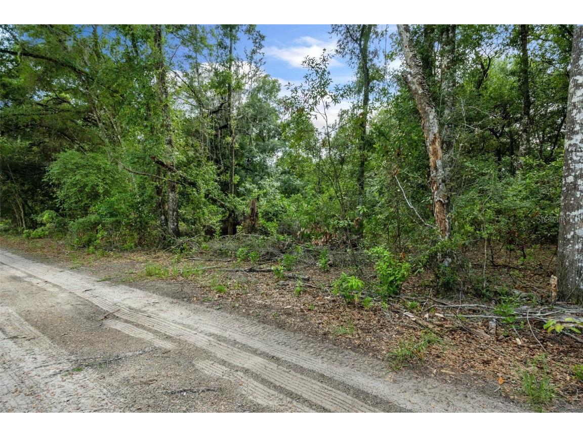 4712 S Ironwood Point Inverness FL 34450 W7870476 image8