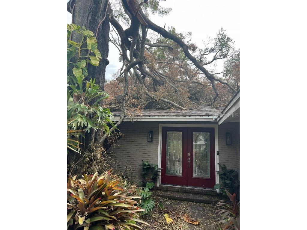 4712 W Clear Avenue Tampa FL 33629 TB8316440 image1