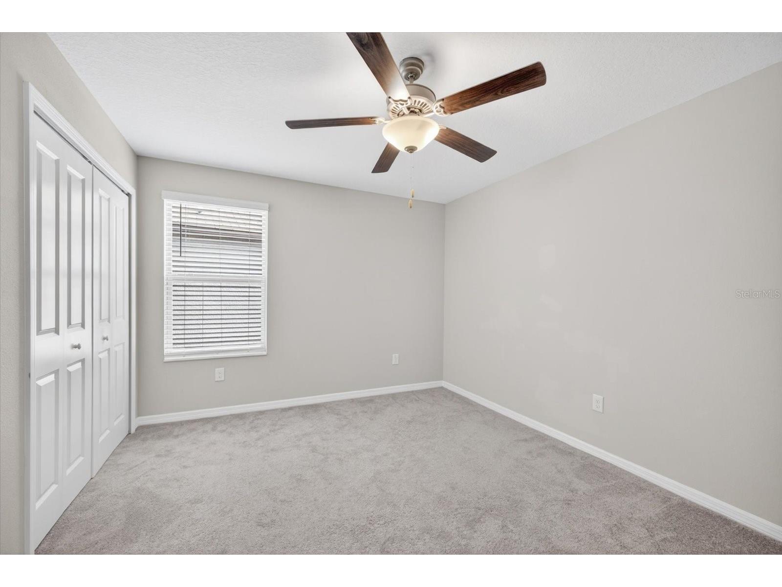 4712 Wild Senna Boulevard Tampa FL 33619 TB8495372 image39