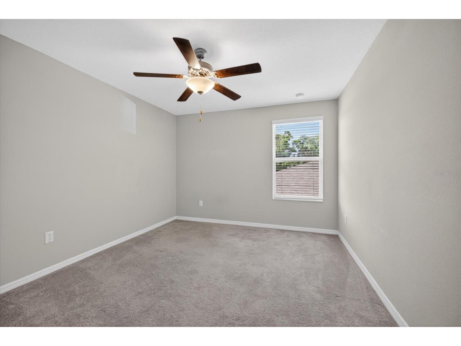 4712 Wild Senna Boulevard Tampa FL 33619 TB8495372 image47