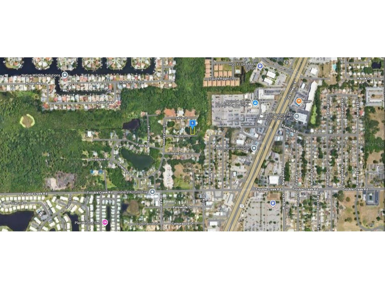 4713 Naftis Lane New Port Richey FL 34652 A4673844 image3