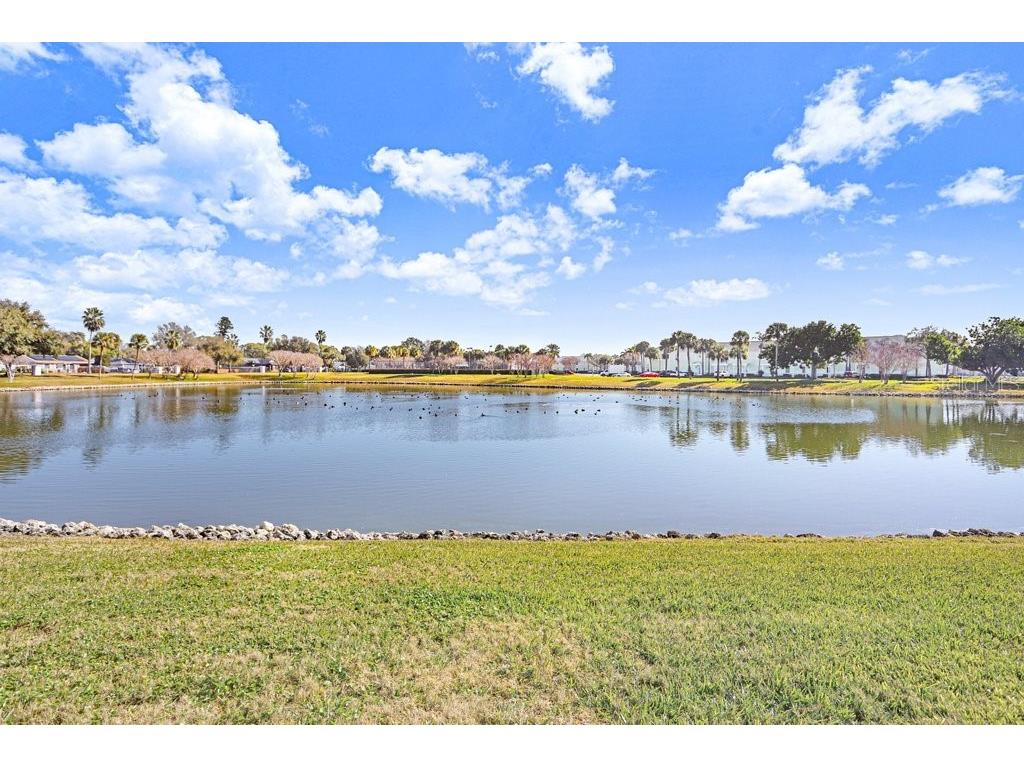 4714 Cobia Drive SE #C Saint Petersburg FL 33705 TB8474516 image18