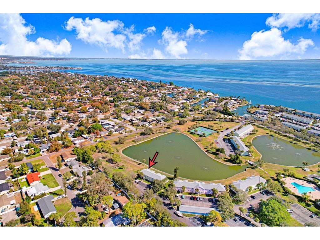 4714 Cobia Drive SE #C Saint Petersburg FL 33705 TB8474516 image28