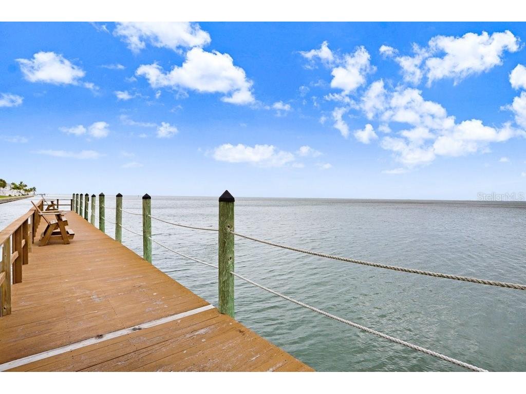 4714 Cobia Drive SE #C Saint Petersburg FL 33705 TB8474516 image63