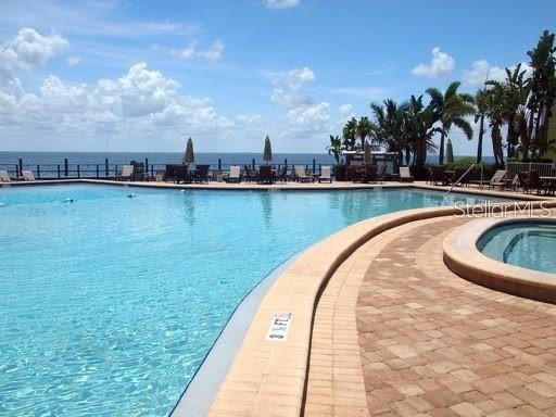 4714 Cobia Drive SE #D Saint Petersburg FL 33705 TB8521419 image13