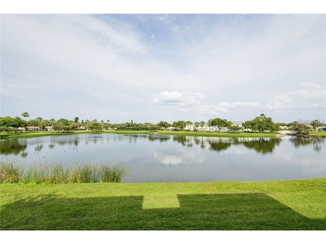 4714 Cobia Drive SE #D Saint Petersburg FL 33705 TB8521419 image2