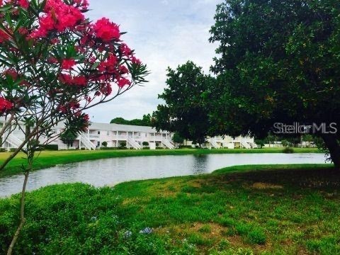 4714 Cobia Drive SE #D Saint Petersburg FL 33705 TB8521419 image25