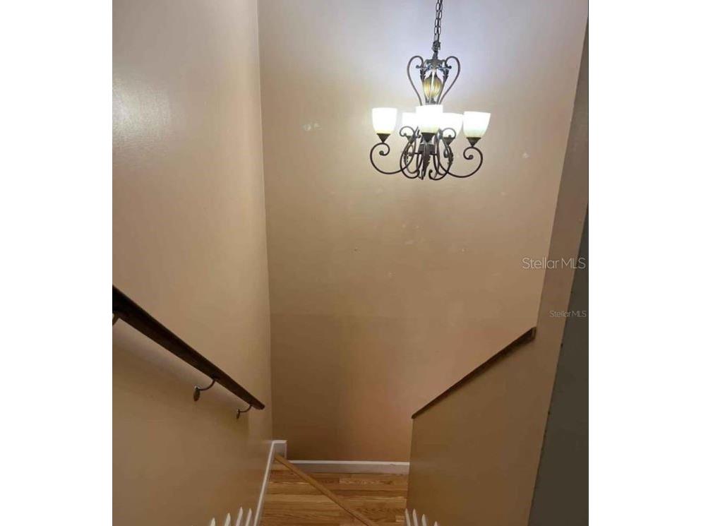 4714 George Road Tampa FL 33634 TB8519615 image12