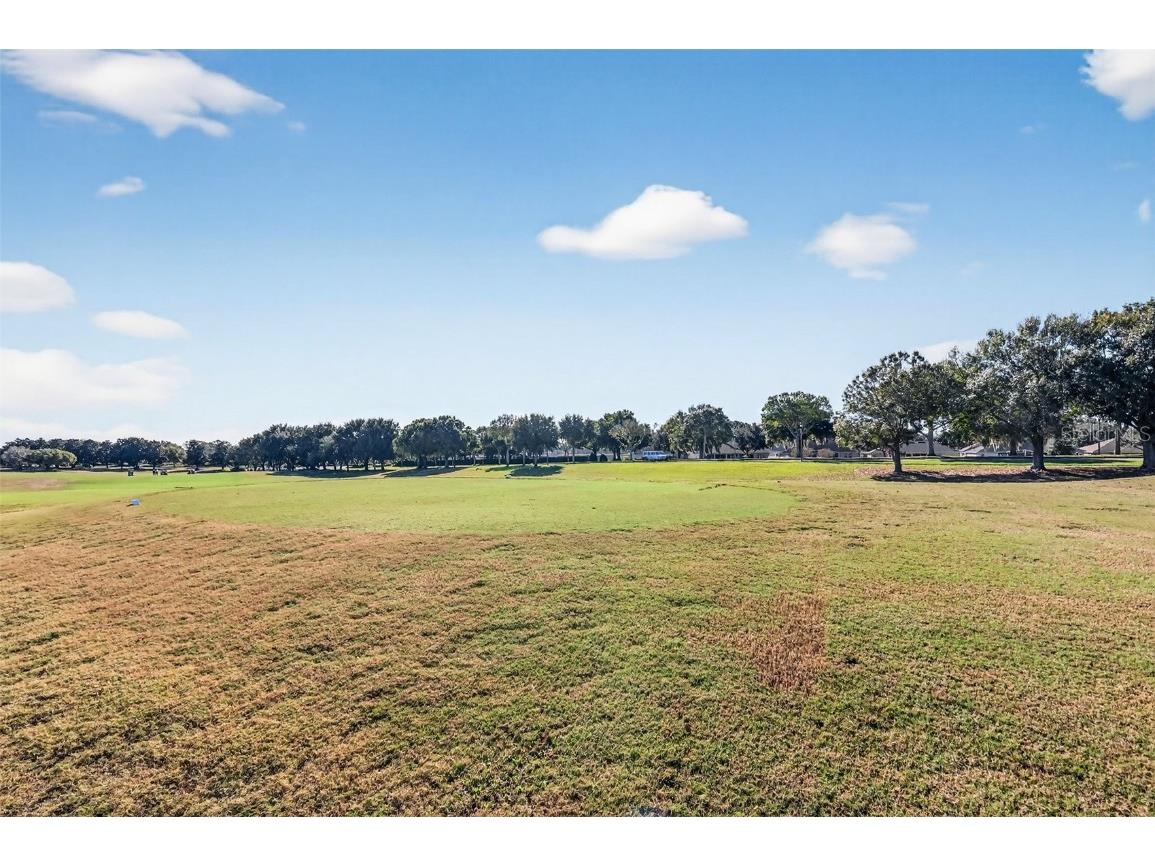 4714 Independence Trail Leesburg FL 34748 OM714183 image35