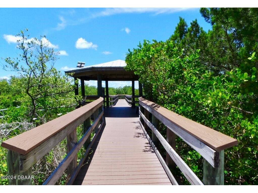 4714 Montrose Avenue Ponce Inlet FL 32127 V4943335 image8