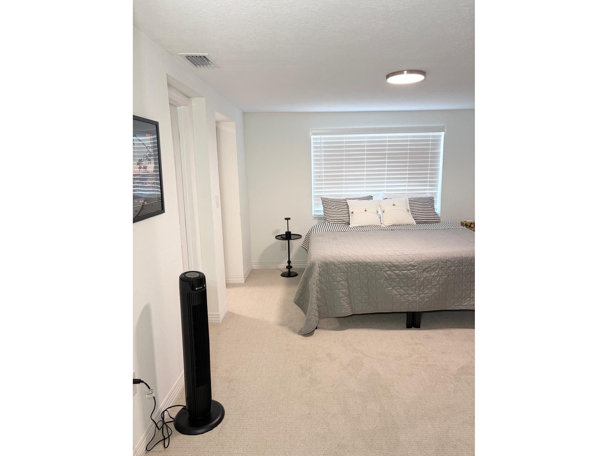 4714 W Lawn Avenue Tampa FL 33611 S5153284 image10