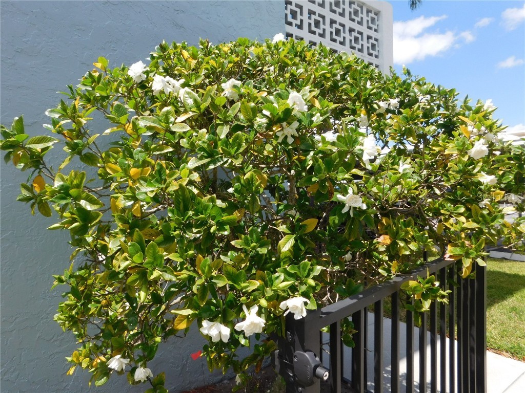 4715 Bay Street NE #119 Saint Petersburg FL 33703 TB8375064 image4