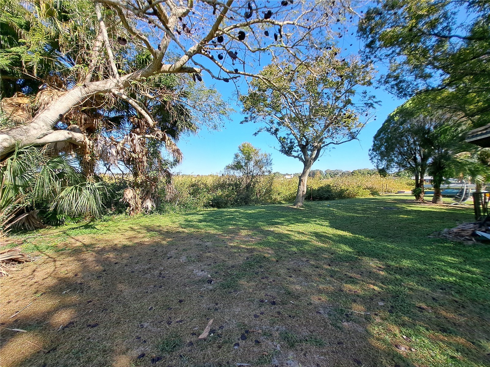 4715 Beach Boulevard Orlando FL 32803 - SUSANNAH LAKE O6360031 image13