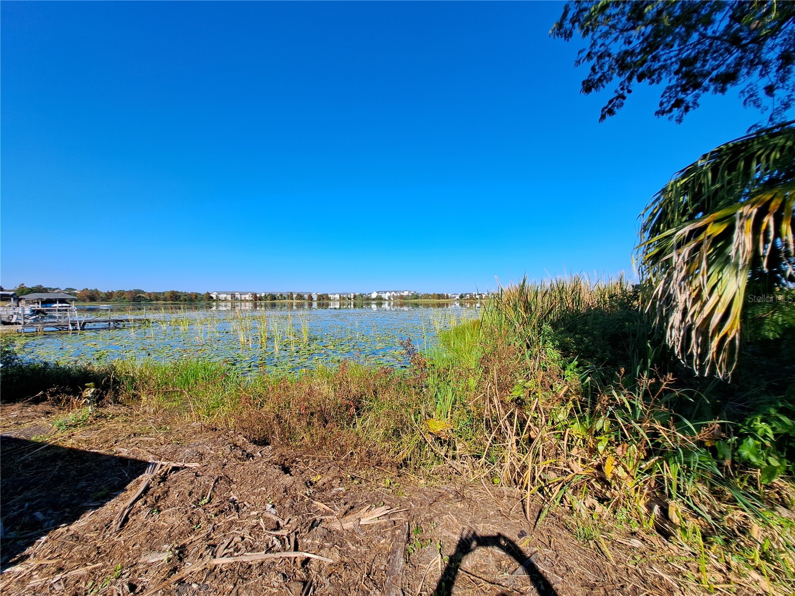 4715 Beach Boulevard Orlando FL 32803 - SUSANNAH LAKE O6360031 image4