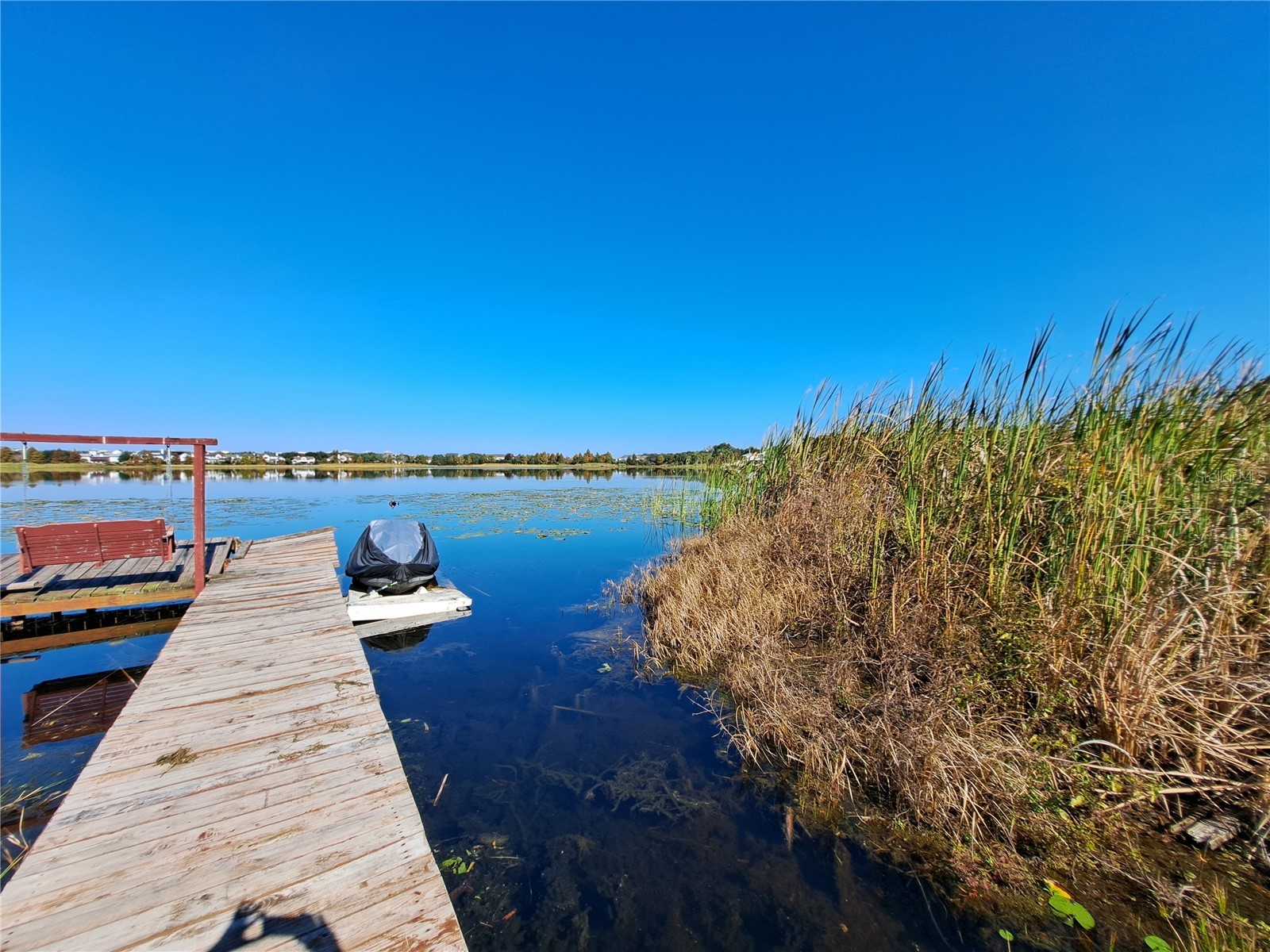 4715 Beach Boulevard Orlando FL 32803 - SUSANNAH LAKE O6360031 image7