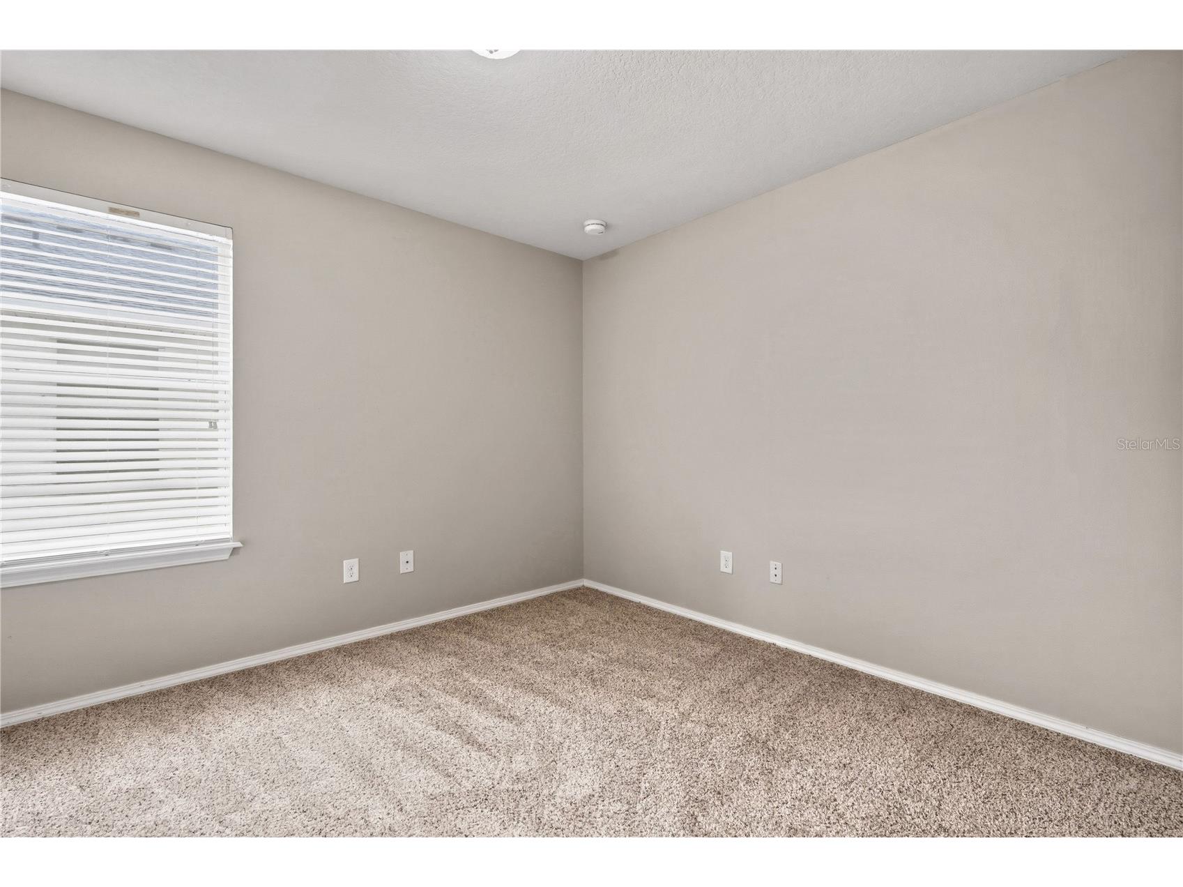 4715 Chatterton Way Riverview FL 33578 TB8524638 image34