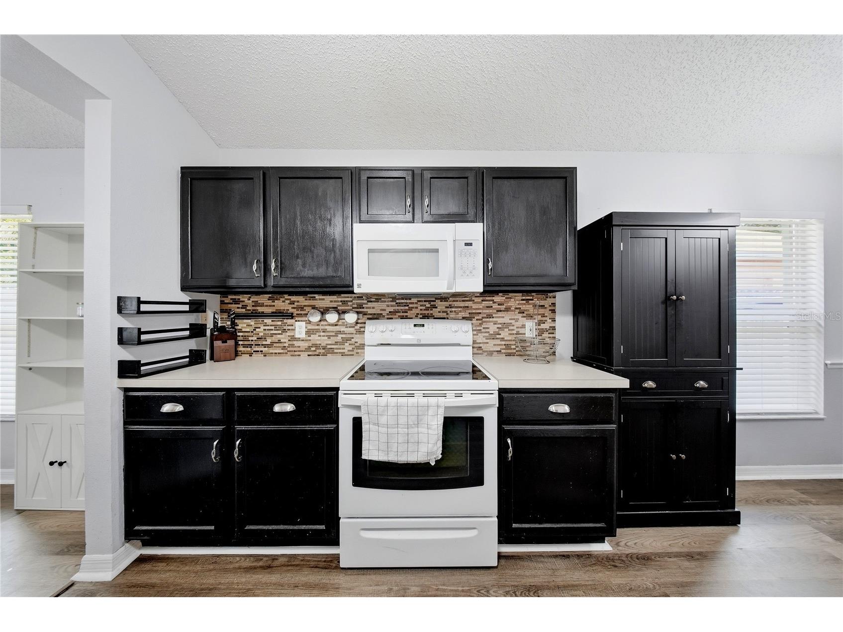 4715 Copper Canyon Boulevard Valrico FL 33594 TB8525509 image13