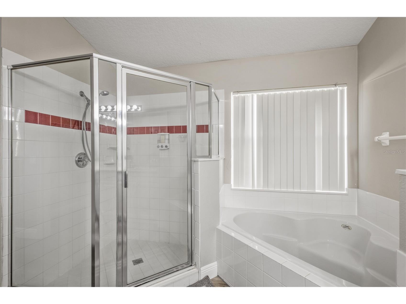 4715 Cumbrian Lakes Drive Kissimmee FL 34746 O6416489 image27