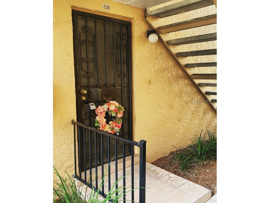 4715 Joseph Court #239 Tampa FL 33614 T3471089 image1