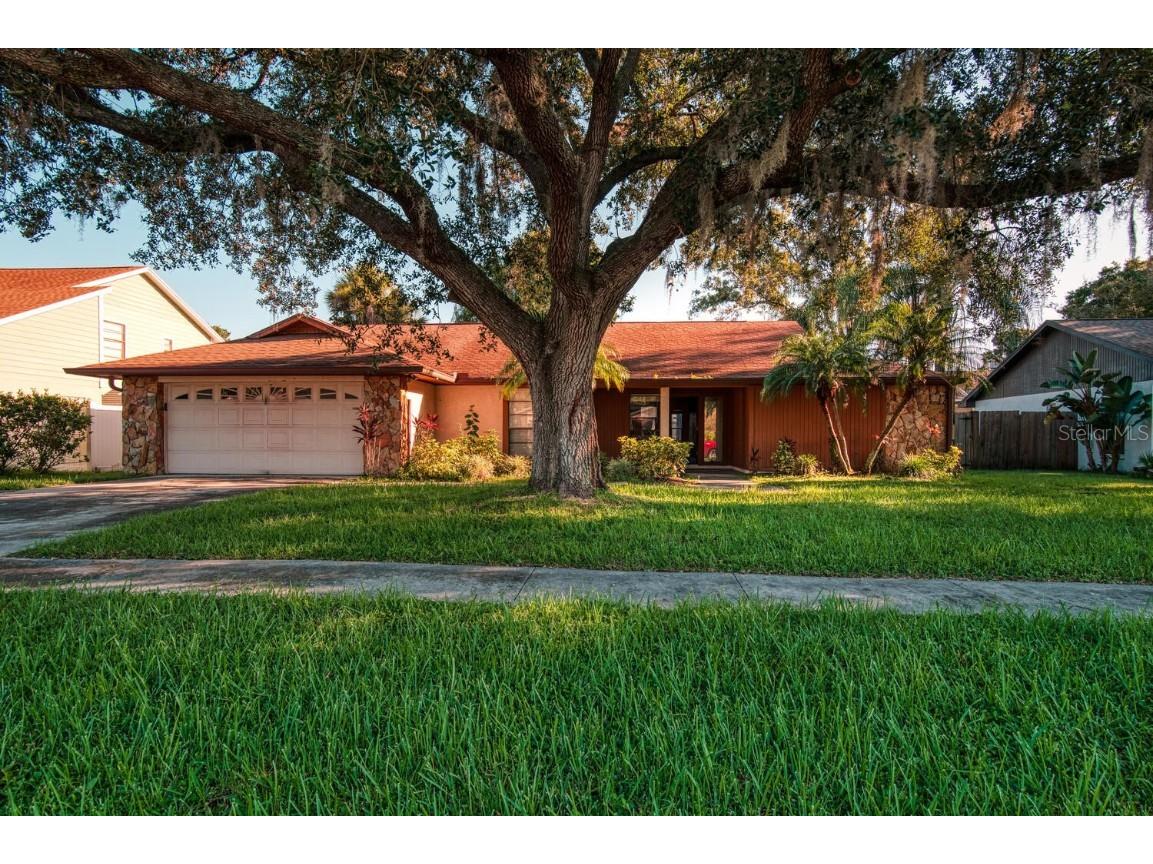 4715 Kemble Court Tampa FL 33624 U8167977 image1