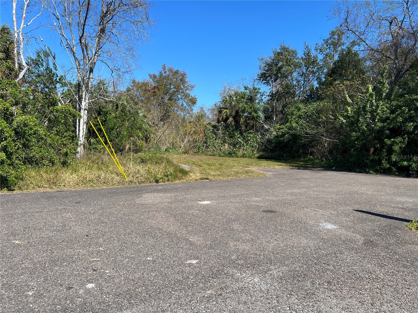 4715 Salvia Street New Port Richey FL 34652 W7881150 image1