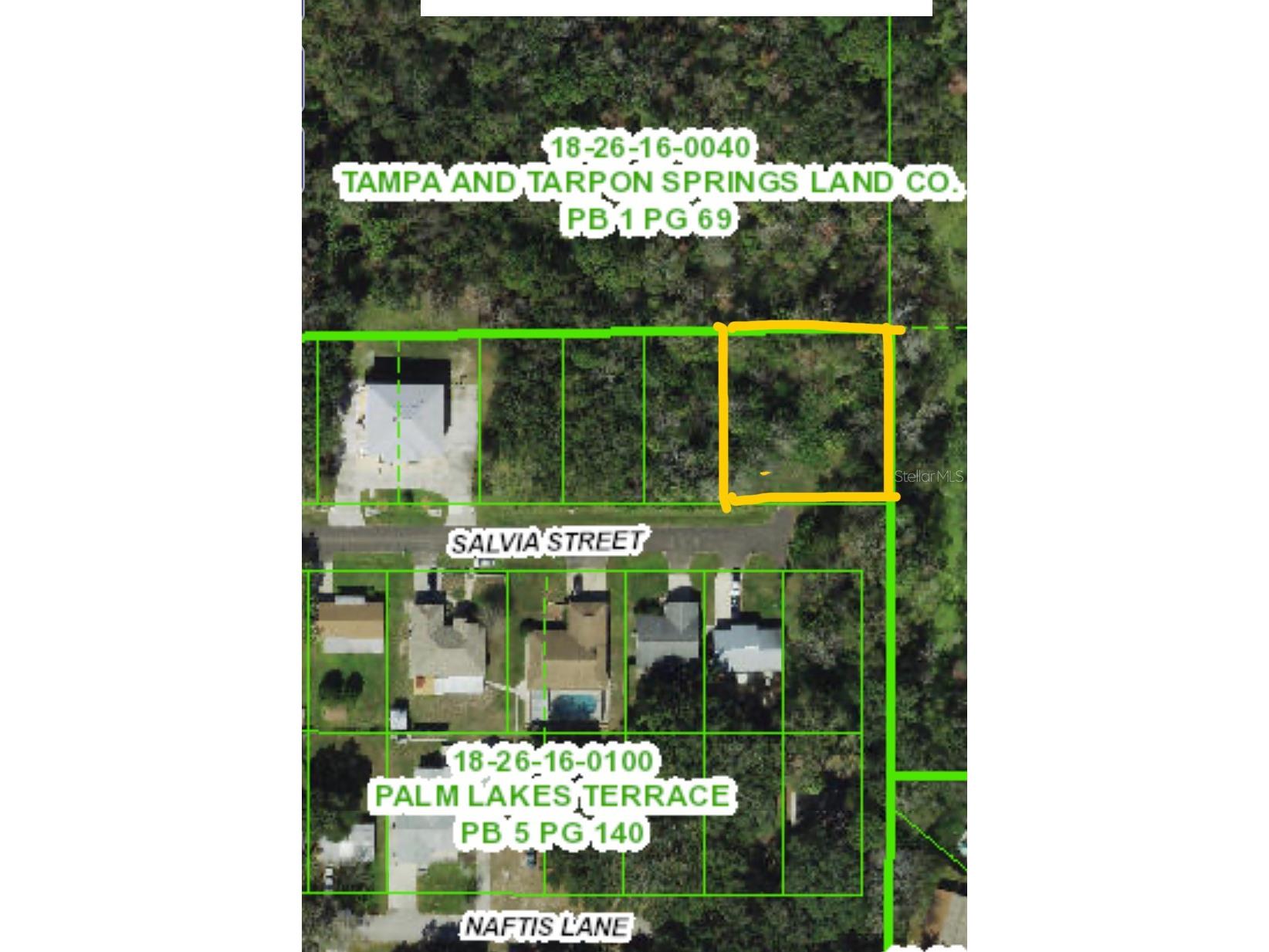 4715 Salvia Street New Port Richey FL 34652 W7881150 image2
