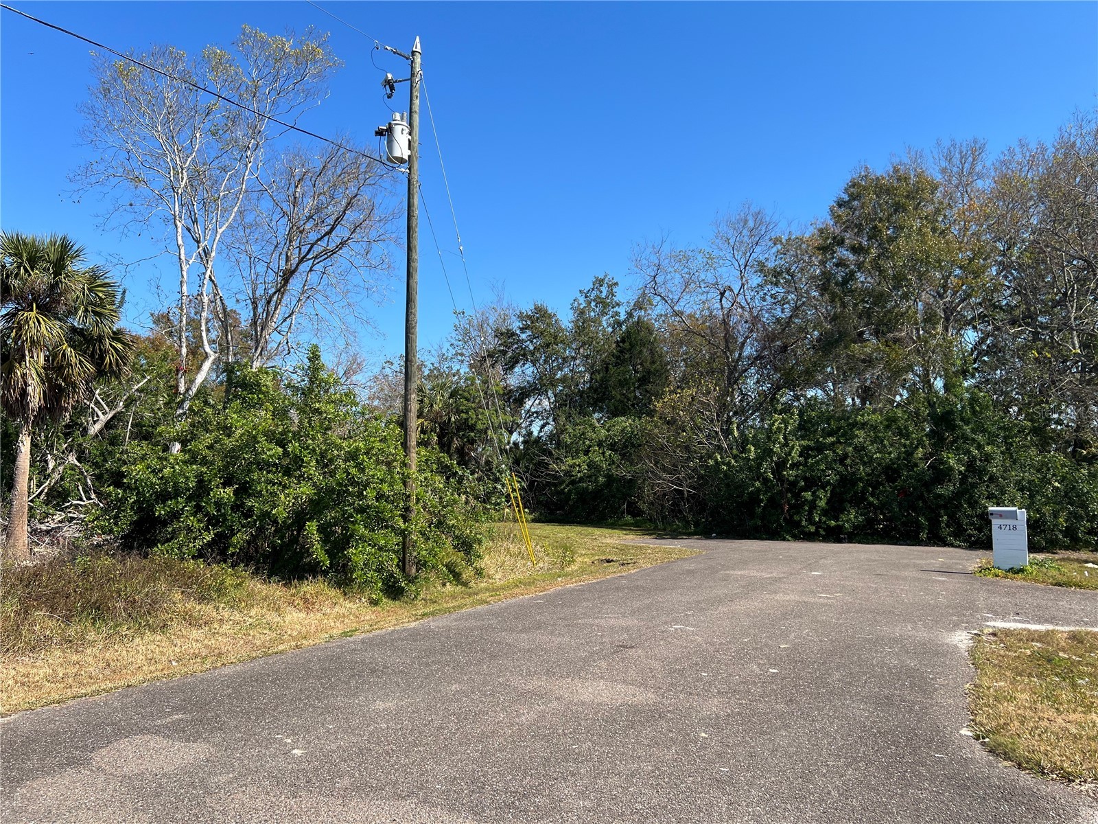 4715 Salvia Street New Port Richey FL 34652 W7881150 image3
