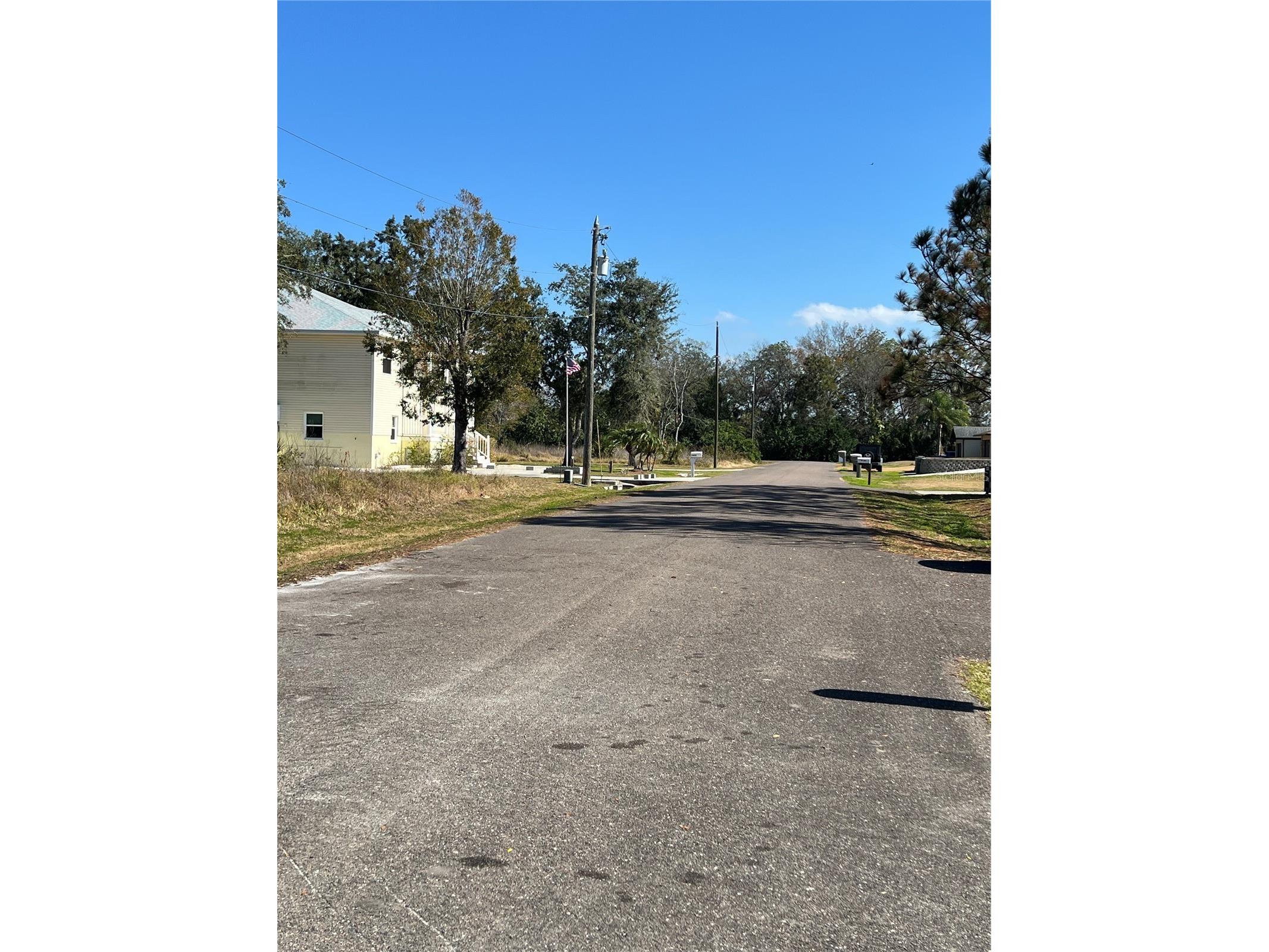 4715 Salvia Street New Port Richey FL 34652 W7881150 image5