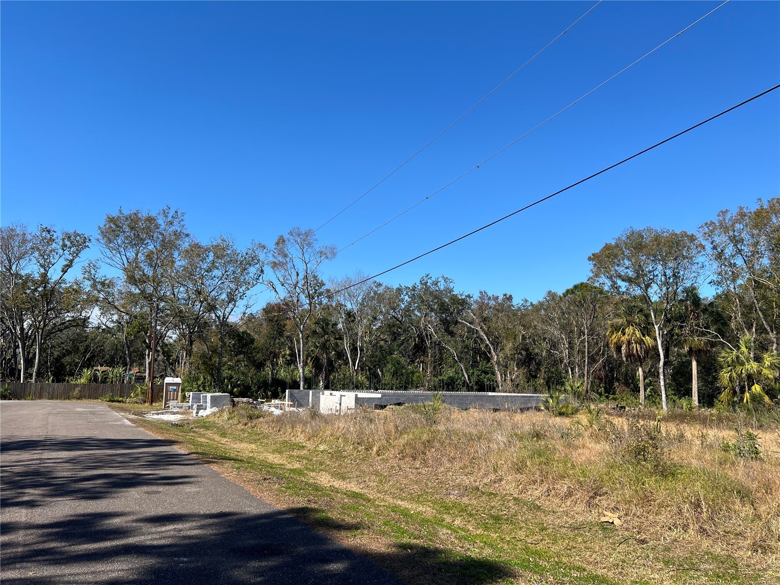 4715 Salvia Street New Port Richey FL 34652 W7881150 image6