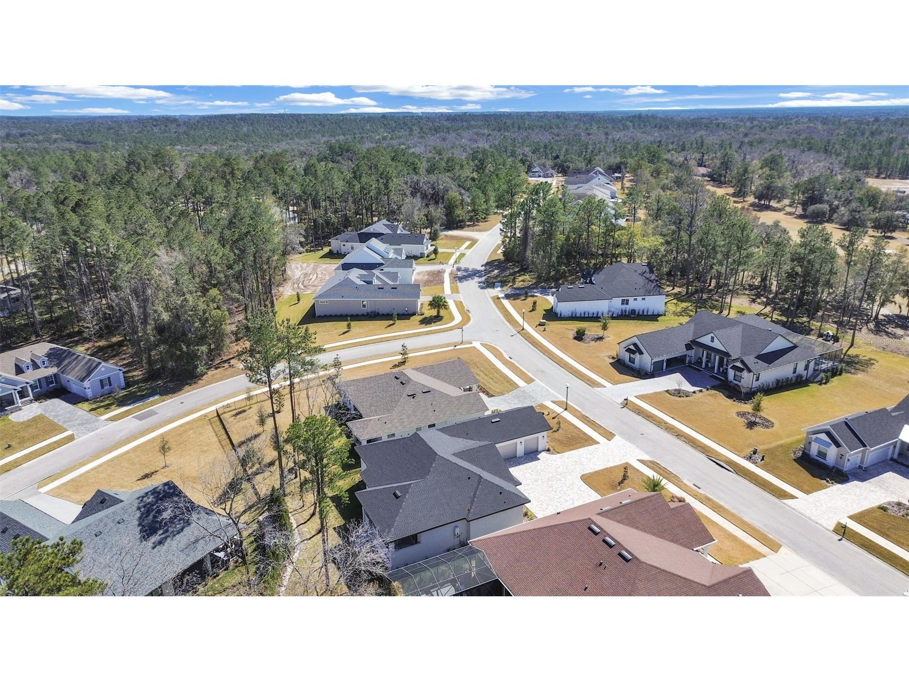 4716 Hickory Oak Drive Brooksville FL 34601 TB8476396 image11