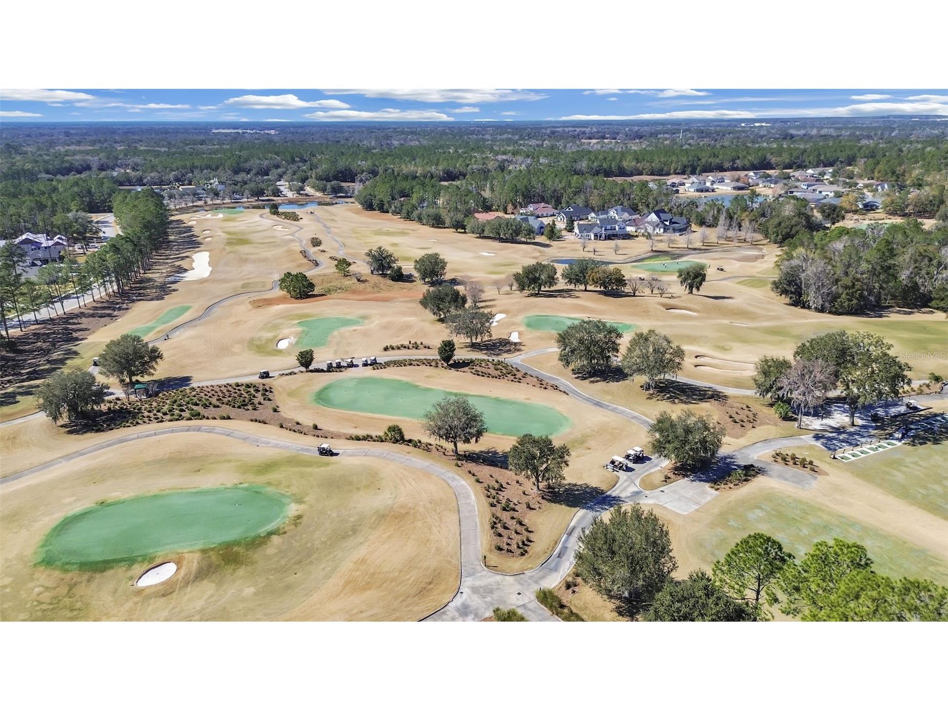 4716 Hickory Oak Drive Brooksville FL 34601 TB8476396 image42