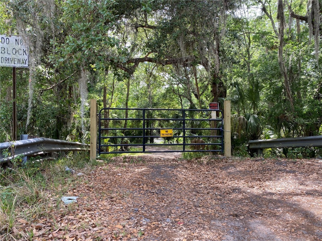 4716 Lithia Pinecrest Road Valrico FL 33596 - ALAFIA RIVER T3439071 image1