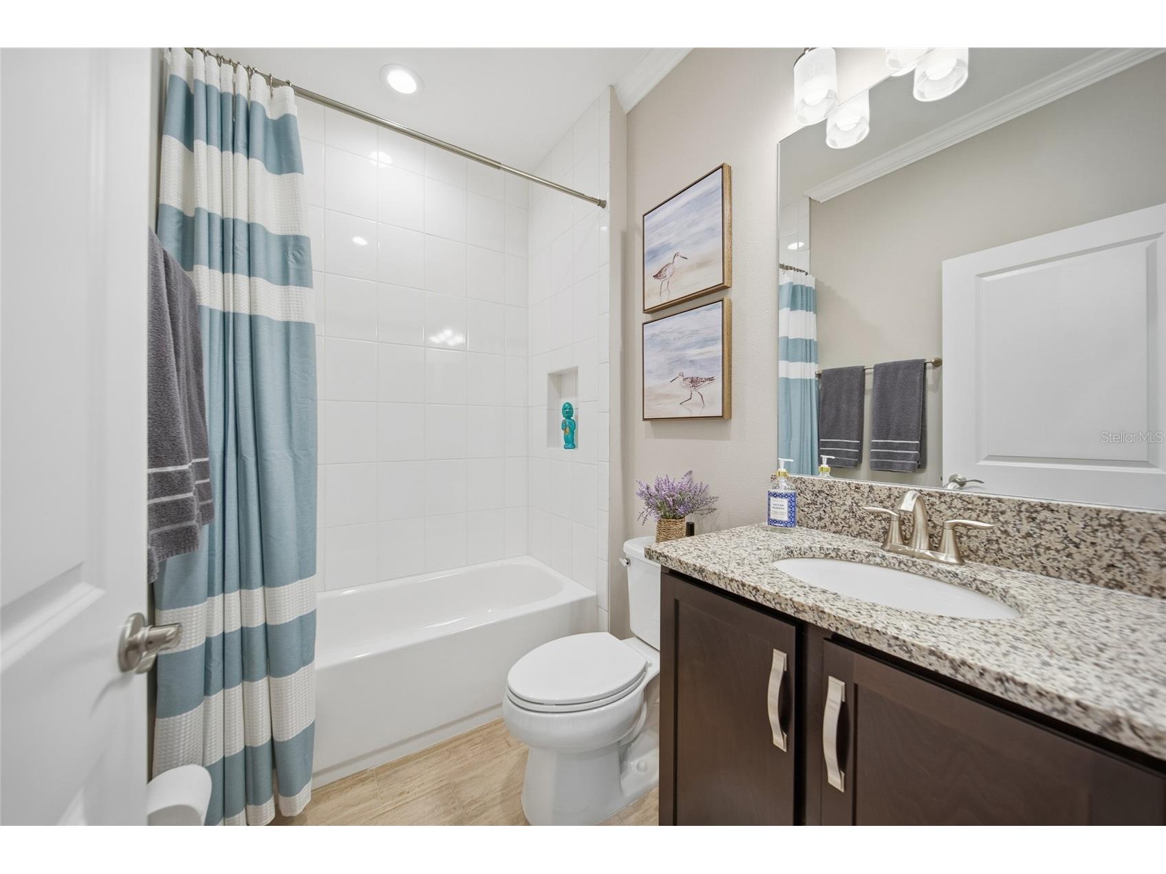 4717 Avila Lakes Drive Wimauma FL 33598 TB8462544 image19