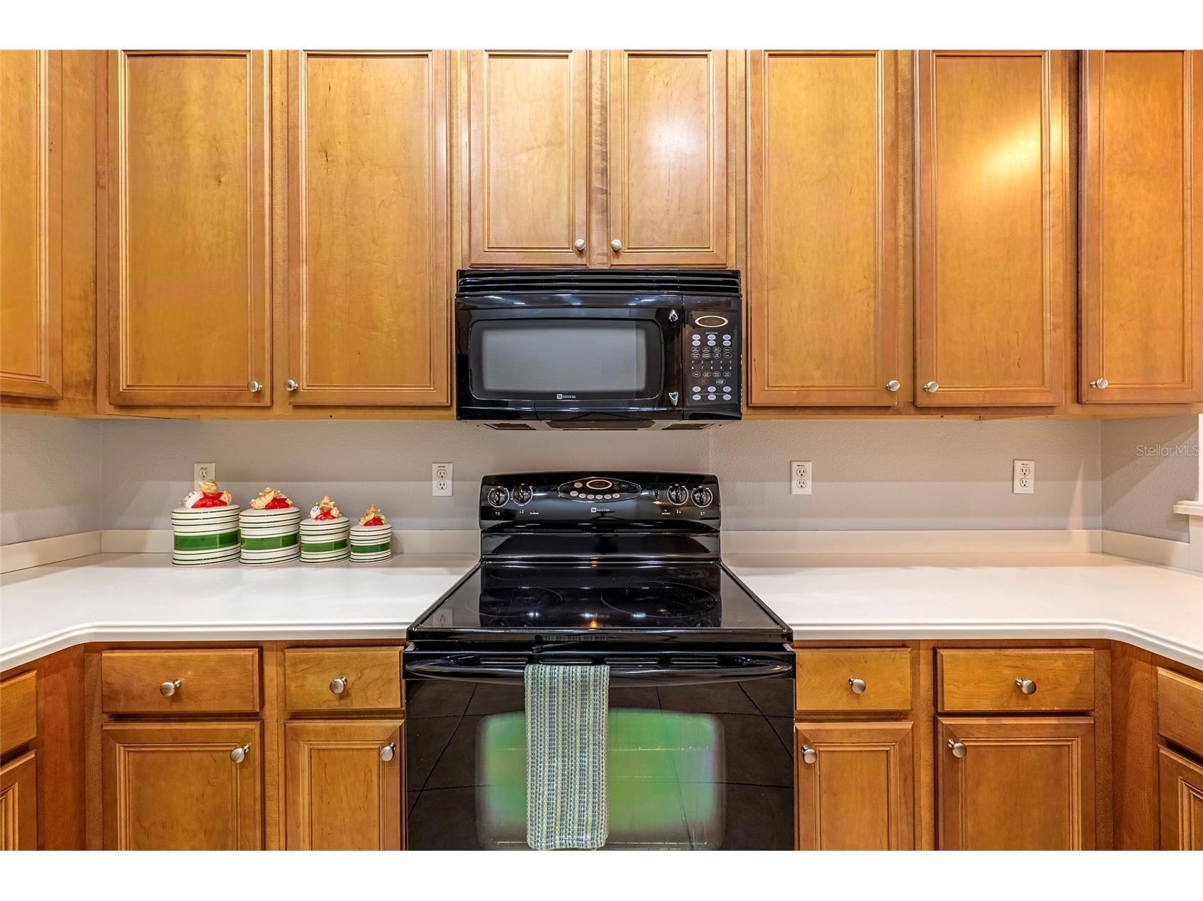 4717 Casswell Drive New Port Richey FL 34652 W7885720 image15