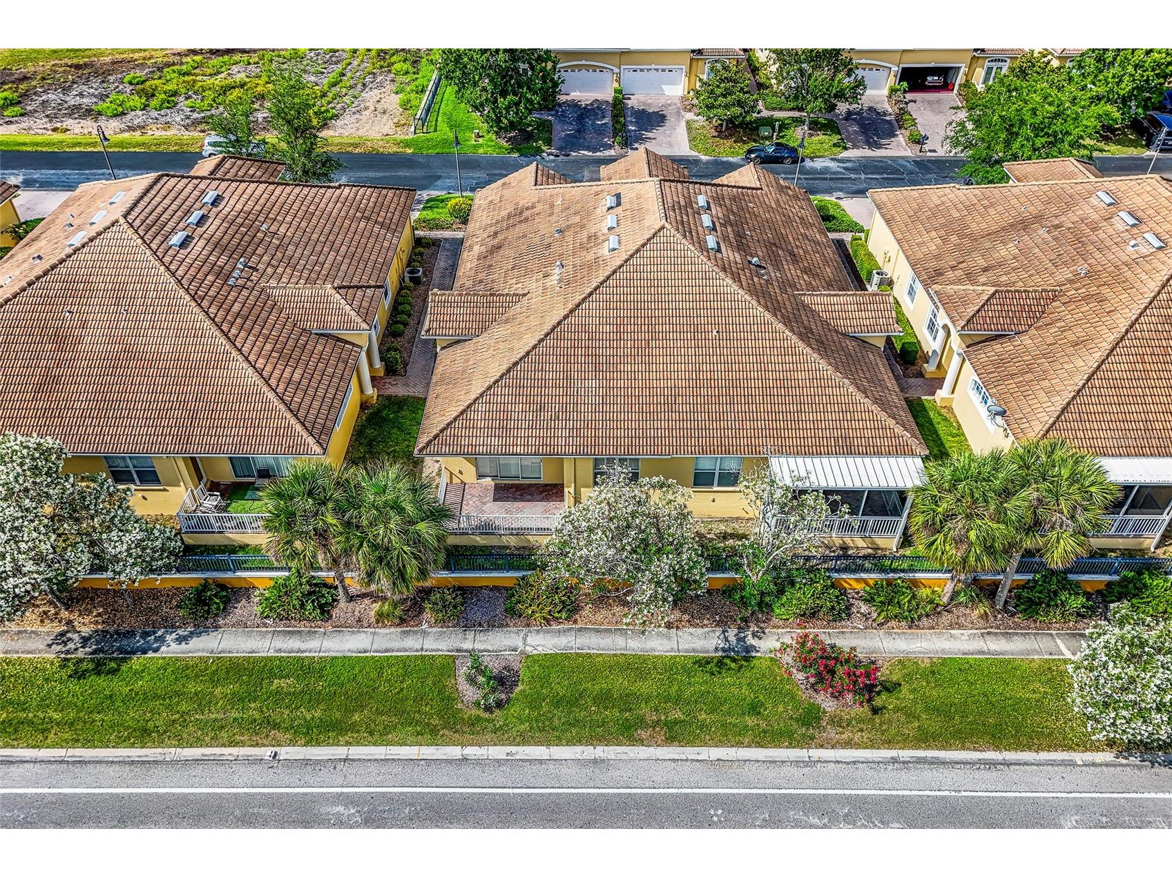4717 Casswell Drive New Port Richey FL 34652 W7885720 image3