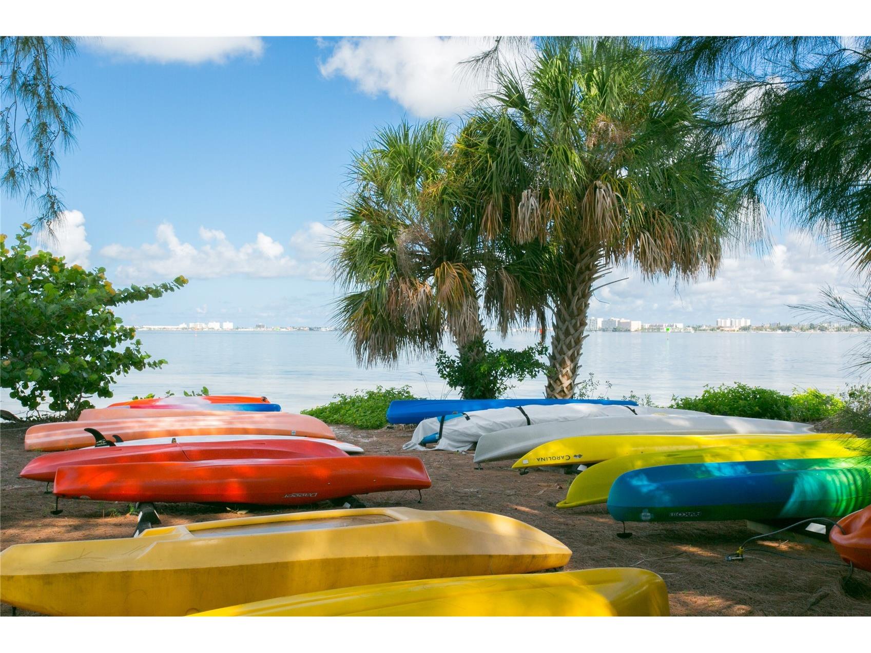 4717 Dolphin Cay Lane S #202 Saint Petersburg FL 33711 - BOCA CIEGA BAY TB8485352 image19