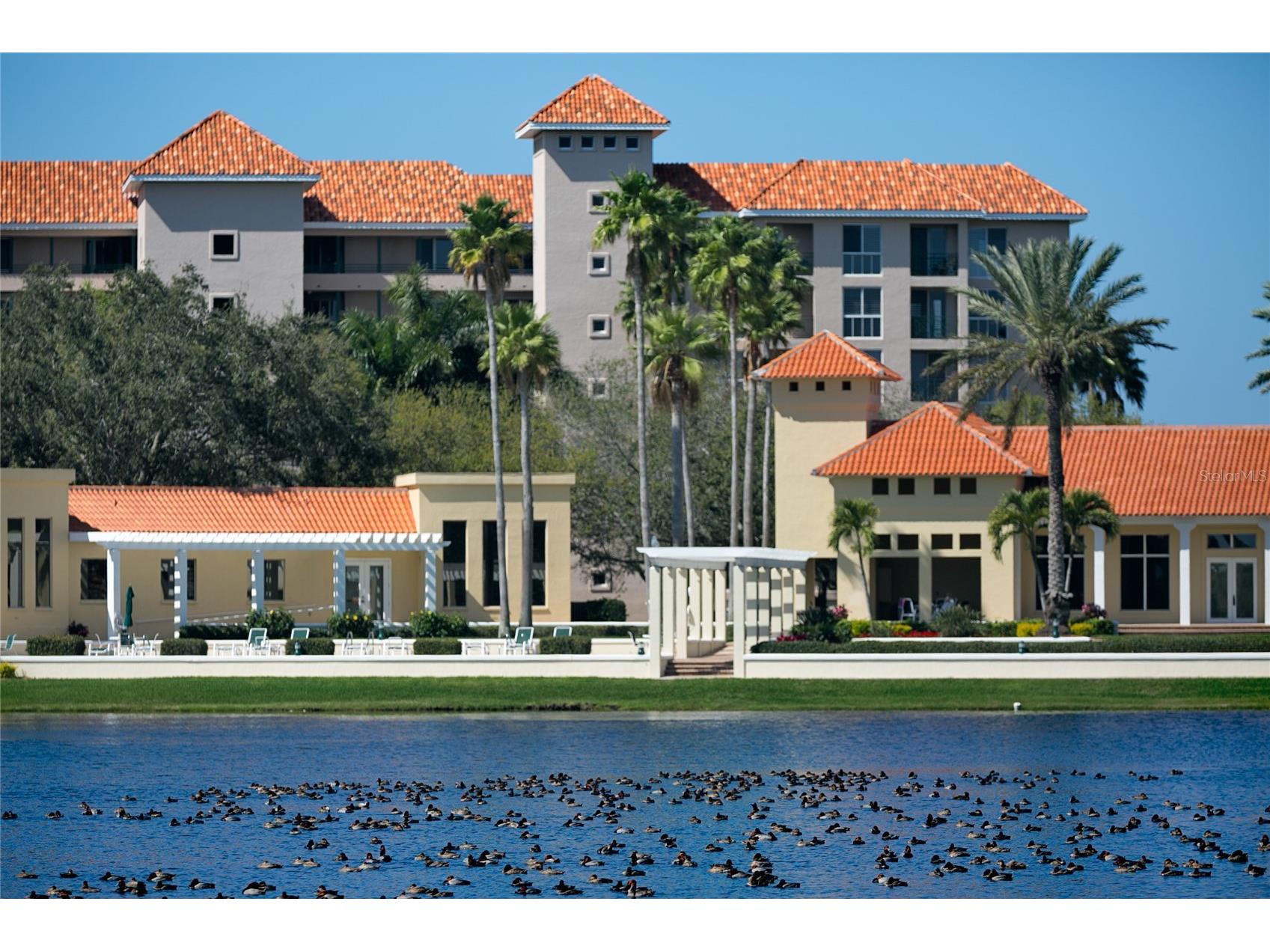 4717 Dolphin Cay Lane S #202 Saint Petersburg FL 33711 - BOCA CIEGA BAY TB8485352 image52