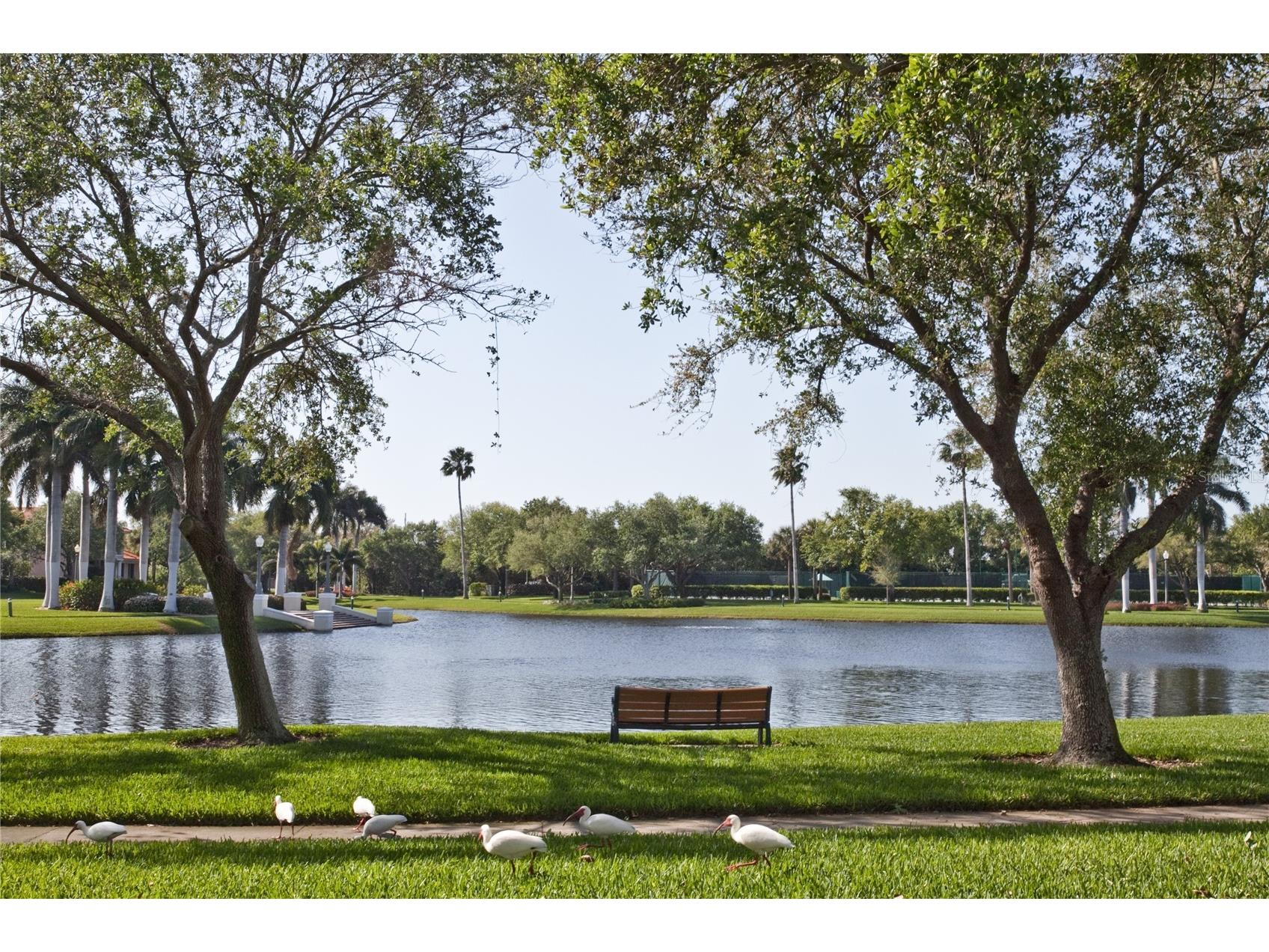 4717 Dolphin Cay Lane S #202 Saint Petersburg FL 33711 - BOCA CIEGA BAY TB8485352 image72