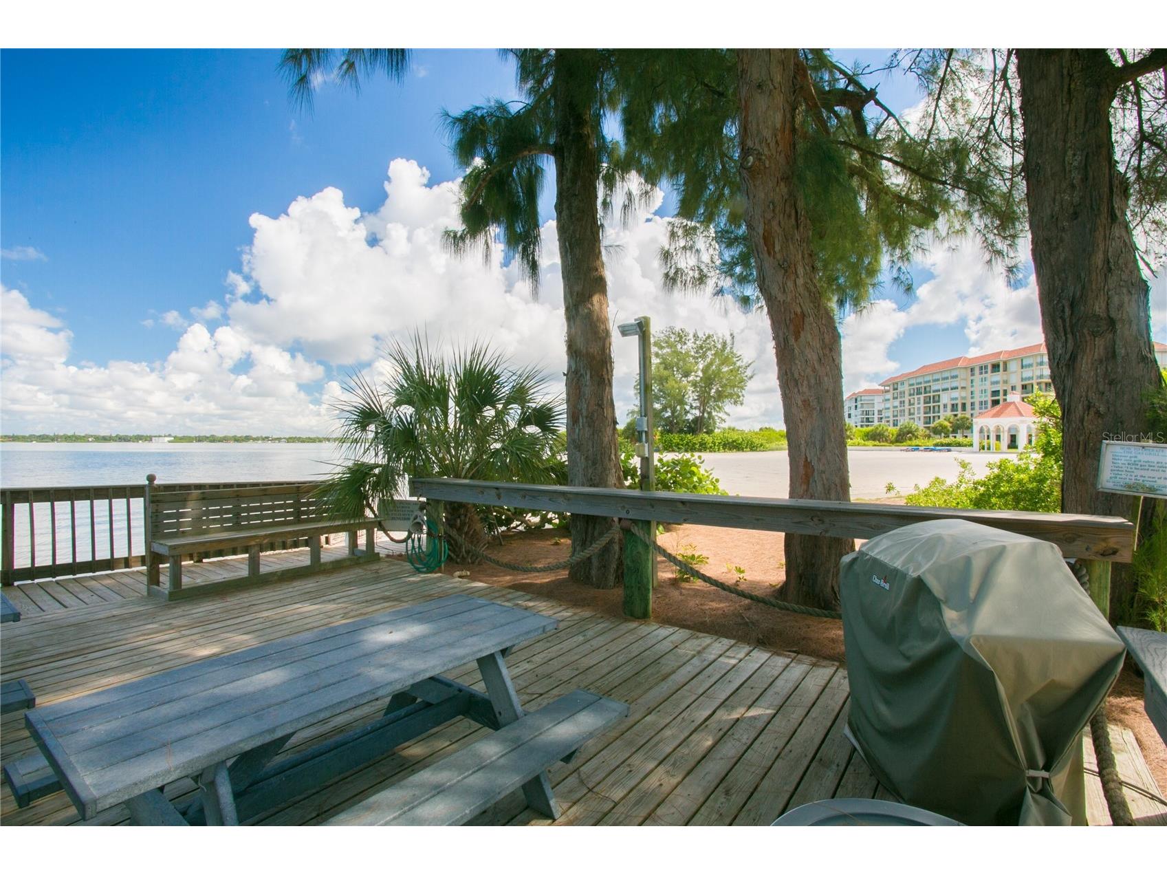 4717 Dolphin Cay Lane S #202 Saint Petersburg FL 33711 - BOCA CIEGA BAY TB8485352 image73