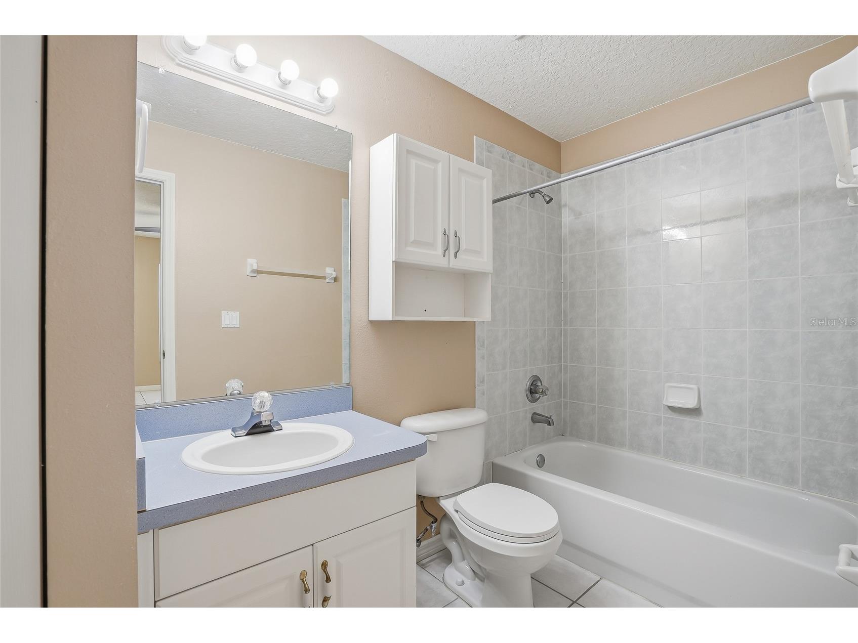 4717 Lakewood Drive Seffner FL 33584 TB8485059 image17