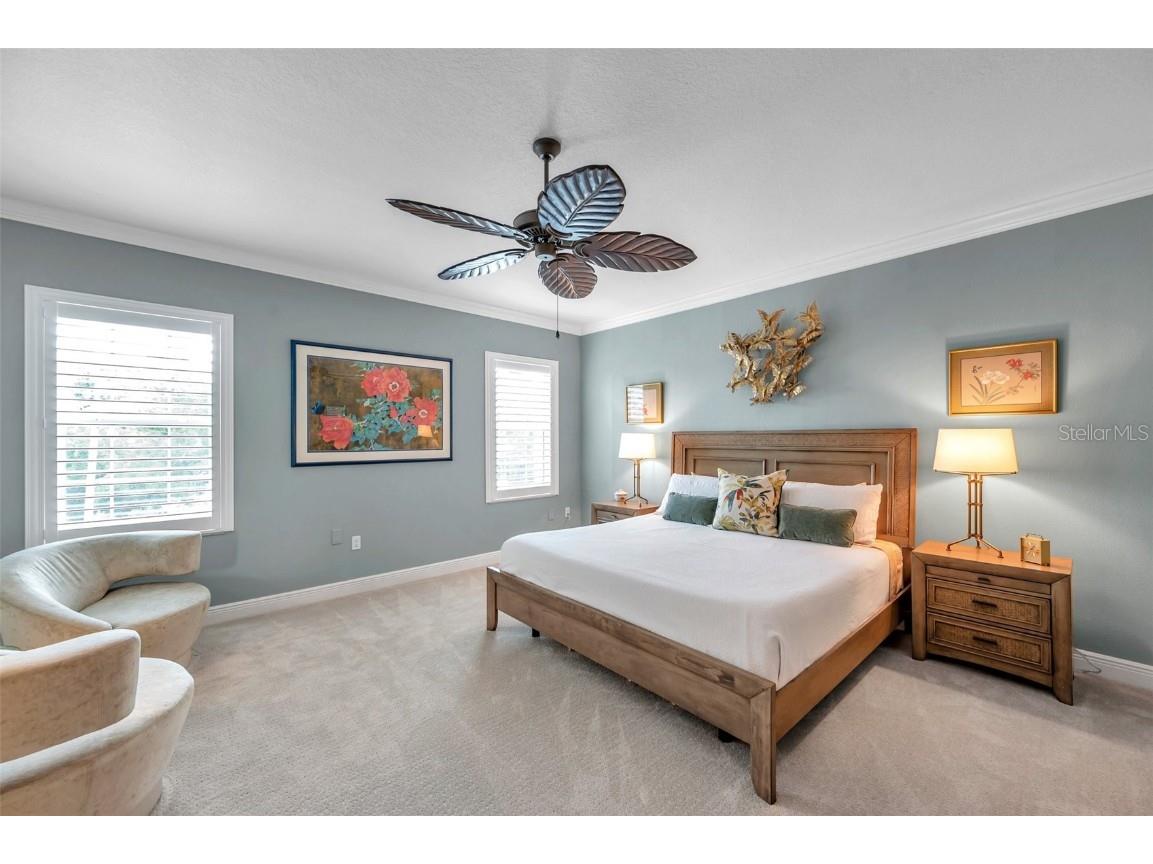 4717 Osprey Ridge Circle Palm Harbor FL 34684 TB8386291 image12