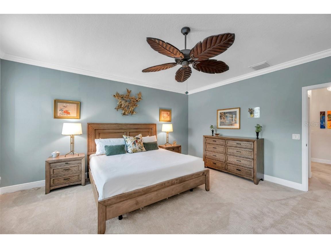 4717 Osprey Ridge Circle Palm Harbor FL 34684 TB8386291 image13