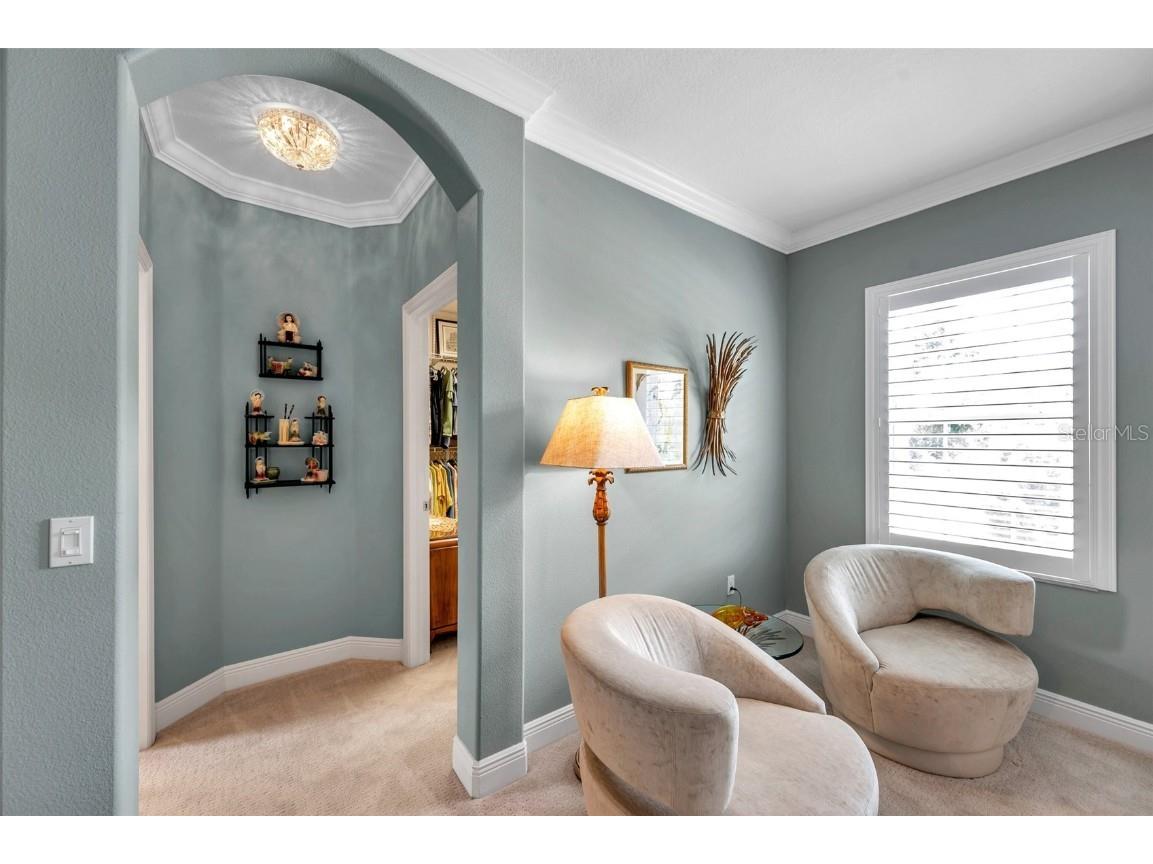 4717 Osprey Ridge Circle Palm Harbor FL 34684 TB8386291 image15