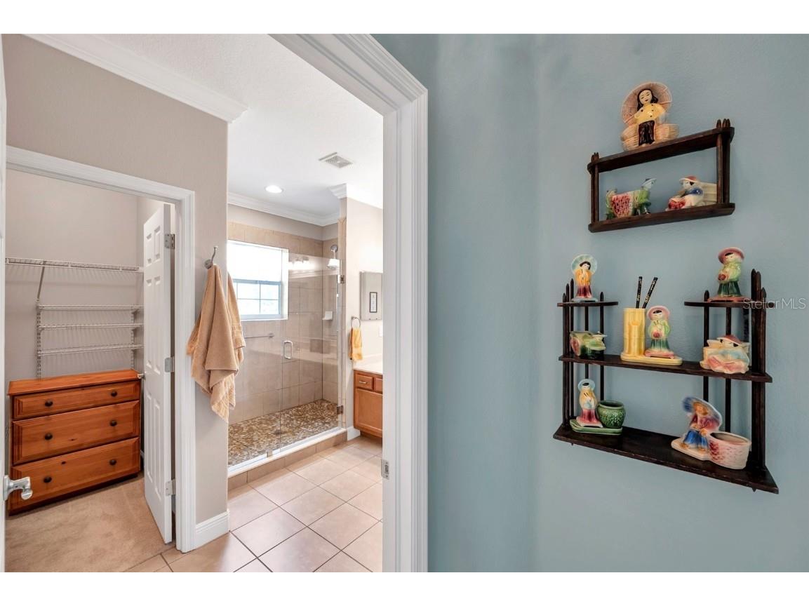 4717 Osprey Ridge Circle Palm Harbor FL 34684 TB8386291 image17